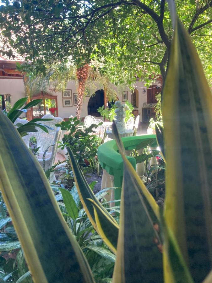فندق Casadelias غرناطة المظهر الخارجي الصورة